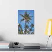 Palm Trees - Classic Stretched Canvas-01 - Shore-n-Decor