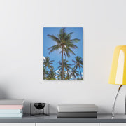 Palm Trees - Classic Stretched Canvas-01 - Shore-n-Decor