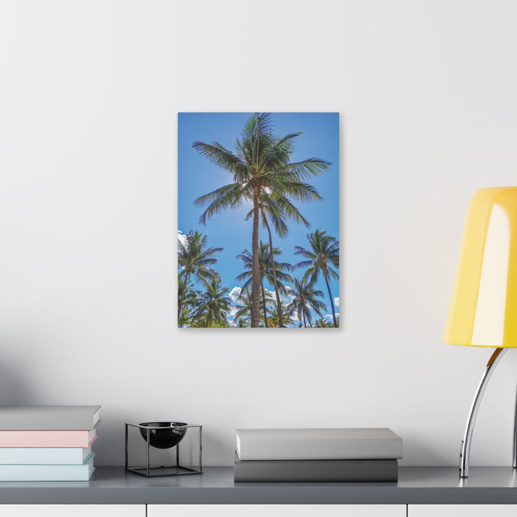 Palm Trees - Classic Stretched Canvas-01 - Shore-n-Decor