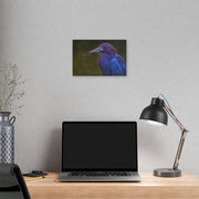 Night Heron - Classic Stretched Canvas-01 - Shore-n-Decor