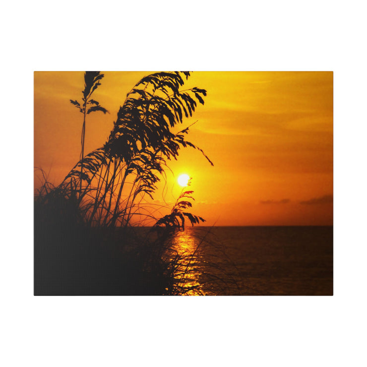 Beach Sunset Sea Oats - Classic Stretched Canvas-01 - Shore-n-Decor