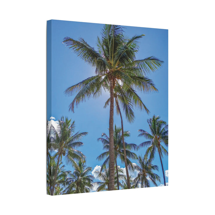 Palm Trees - Classic Stretched Canvas-01 - Shore-n-Decor