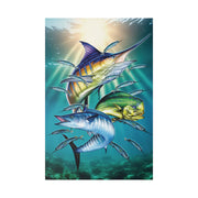 Sport Fish - Classic Stretched Canvas-01 - Shore-n-Decor