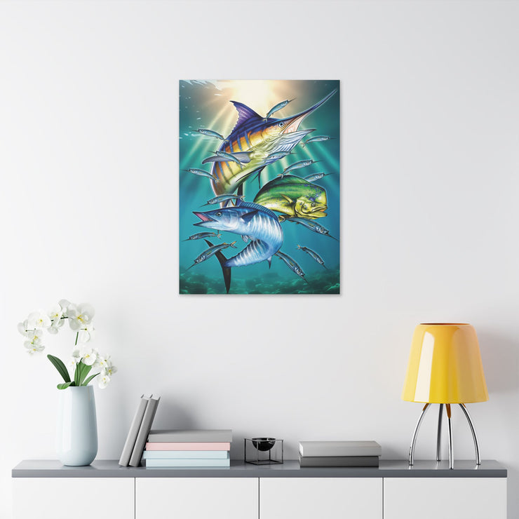 Sport Fish - Classic Stretched Canvas-01 - Shore-n-Decor