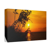 Beach Sunset Sea Oats - Classic Stretched Canvas-01 - Shore-n-Decor