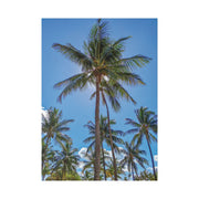 Palm Trees - Classic Stretched Canvas-01 - Shore-n-Decor