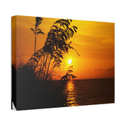 Beach Sunset Sea Oats - Classic Stretched Canvas-01 - Shore-n-Decor