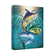 Sport Fish - Classic Stretched Canvas-01 - Shore-n-Decor