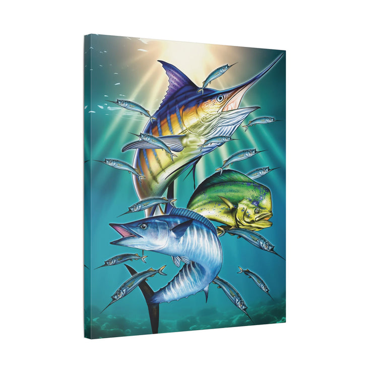 Sport Fish - Classic Stretched Canvas-01 - Shore-n-Decor