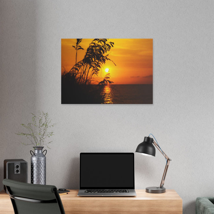 Beach Sunset Sea Oats - Classic Stretched Canvas-01 - Shore-n-Decor