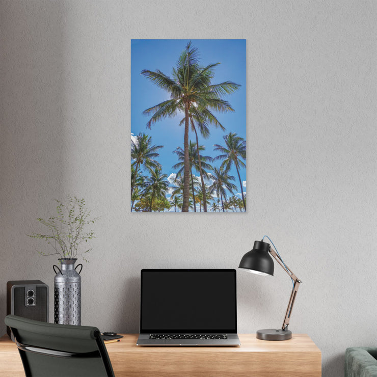 Palm Trees - Classic Stretched Canvas-01 - Shore-n-Decor