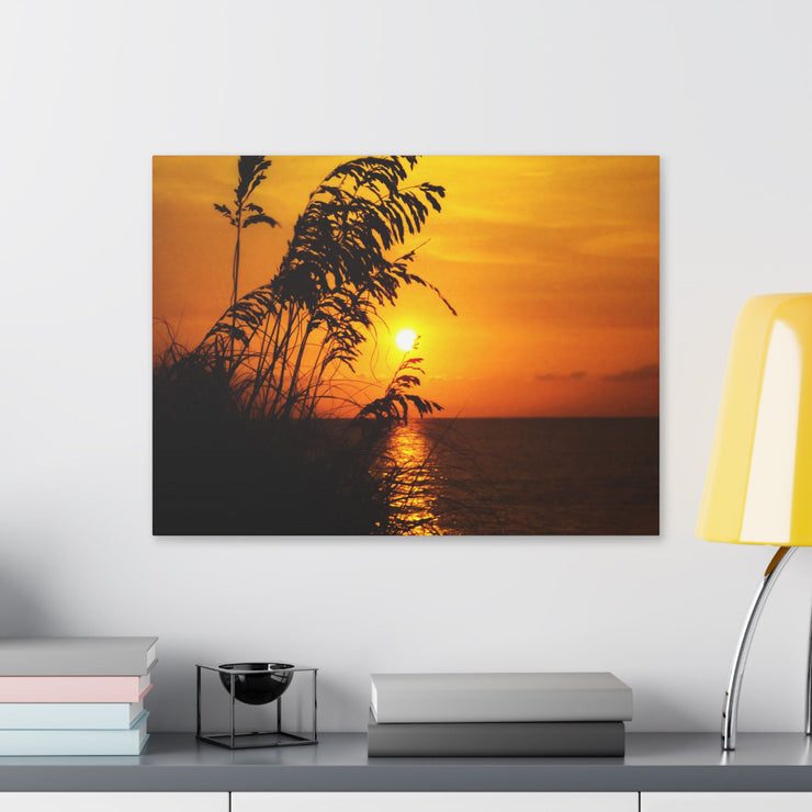 Beach Sunset Sea Oats - Classic Stretched Canvas-01 - Shore-n-Decor