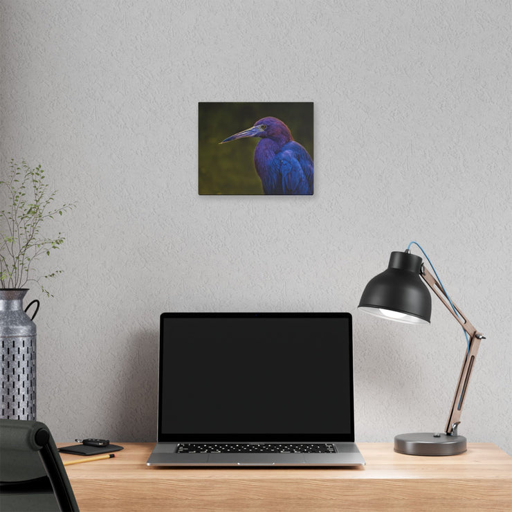 Night Heron - Classic Stretched Canvas-01 - Shore-n-Decor