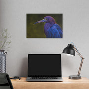 Night Heron - Classic Stretched Canvas-01 - Shore-n-Decor