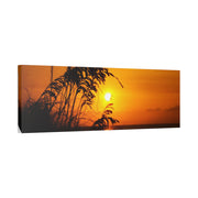 Beach Sunset Sea Oats - Classic Stretched Canvas-01 - Shore-n-Decor