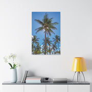 Palm Trees - Classic Stretched Canvas-01 - Shore-n-Decor