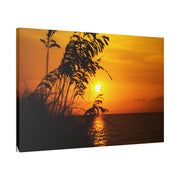 Beach Sunset Sea Oats - Classic Stretched Canvas-01 - Shore-n-Decor