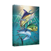 Sport Fish - Classic Stretched Canvas-01 - Shore-n-Decor