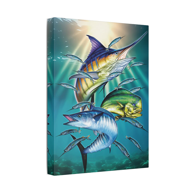 Sport Fish - Classic Stretched Canvas-01 - Shore-n-Decor