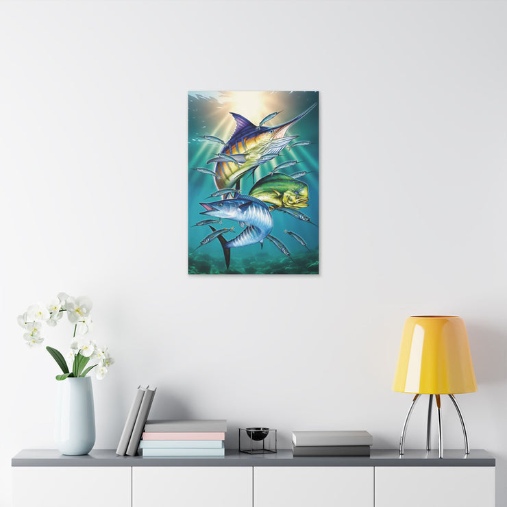 Sport Fish - Classic Stretched Canvas-01 - Shore-n-Decor