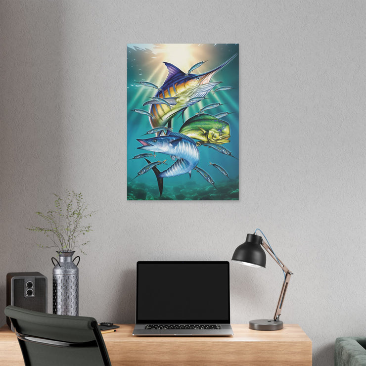 Sport Fish - Classic Stretched Canvas-01 - Shore-n-Decor