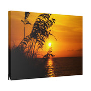 Beach Sunset Sea Oats - Classic Stretched Canvas-01 - Shore-n-Decor