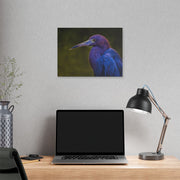 Night Heron - Classic Stretched Canvas-01 - Shore-n-Decor