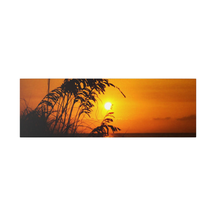 Beach Sunset Sea Oats - Classic Stretched Canvas-01 - Shore-n-Decor