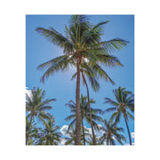 Palm Trees - Classic Stretched Canvas-01 - Shore-n-Decor