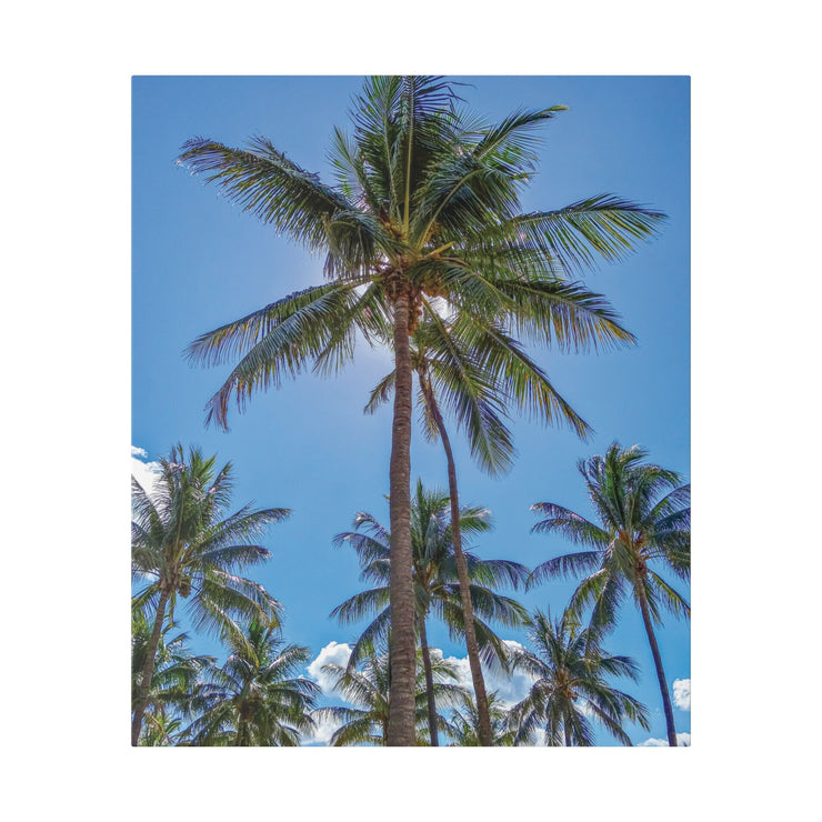 Palm Trees - Classic Stretched Canvas-01 - Shore-n-Decor