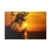 Beach Sunset Sea Oats - Classic Stretched Canvas-01 - Shore-n-Decor