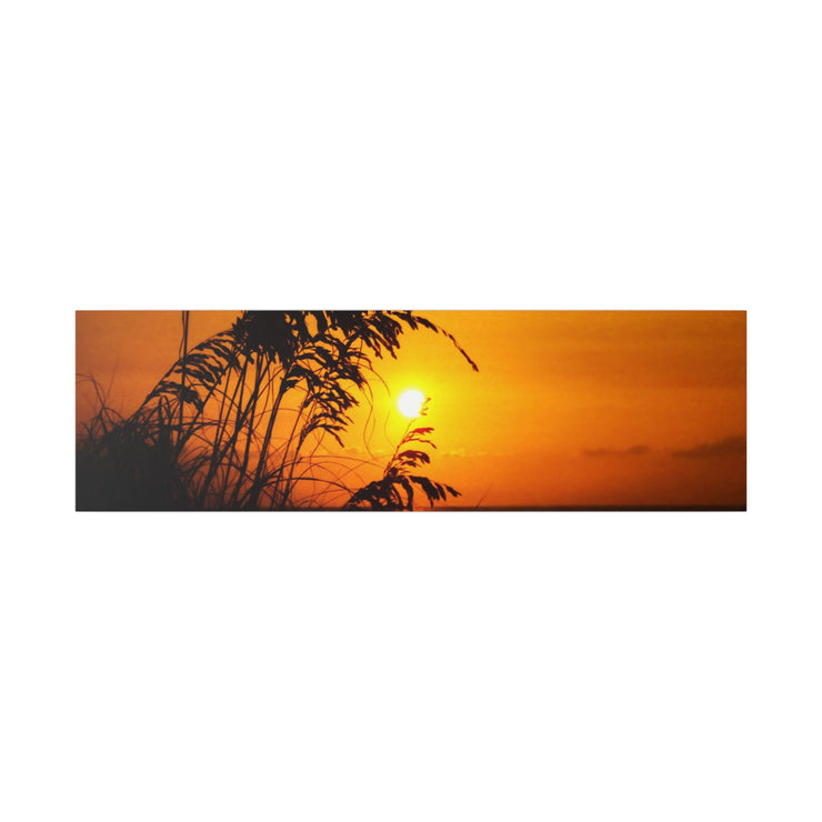 Beach Sunset Sea Oats - Classic Stretched Canvas-01 - Shore-n-Decor