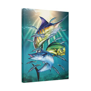 Sport Fish - Classic Stretched Canvas-01 - Shore-n-Decor