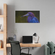 Night Heron - Classic Stretched Canvas-01 - Shore-n-Decor