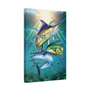 Sport Fish - Classic Stretched Canvas-01 - Shore-n-Decor