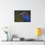 Night Heron - Classic Stretched Canvas-01 - Shore-n-Decor