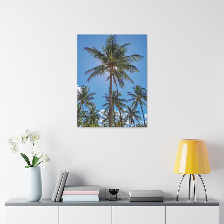 Palm Trees - Classic Stretched Canvas-01 - Shore-n-Decor