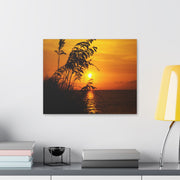 Beach Sunset Sea Oats - Classic Stretched Canvas-01 - Shore-n-Decor