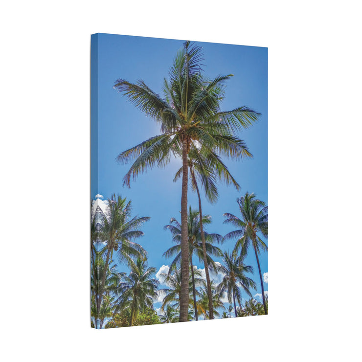 Palm Trees - Classic Stretched Canvas-01 - Shore-n-Decor