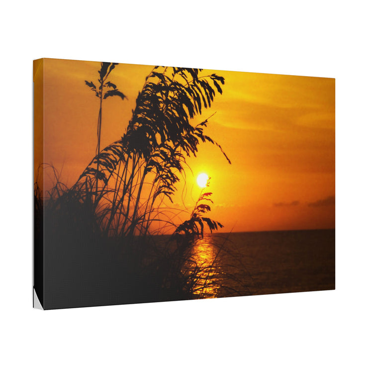 Beach Sunset Sea Oats - Classic Stretched Canvas-01 - Shore-n-Decor