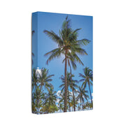 Palm Trees - Classic Stretched Canvas-01 - Shore-n-Decor