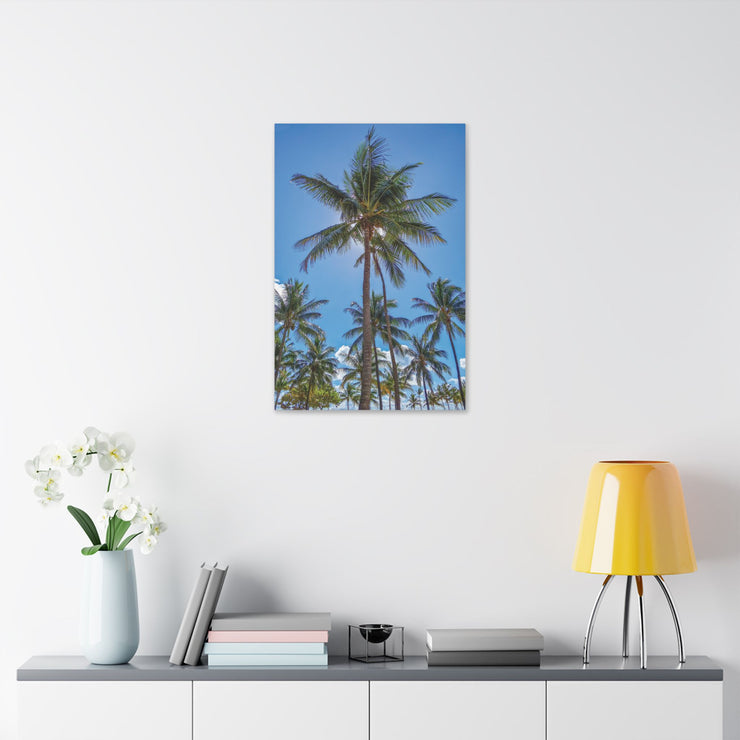 Palm Trees - Classic Stretched Canvas-01 - Shore-n-Decor