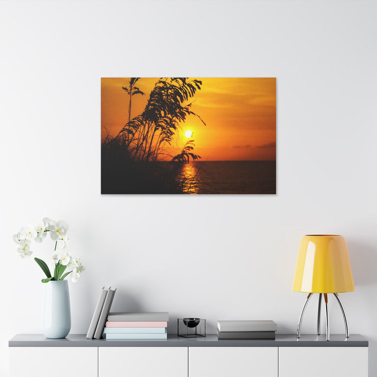 Beach Sunset Sea Oats - Classic Stretched Canvas-01 - Shore-n-Decor