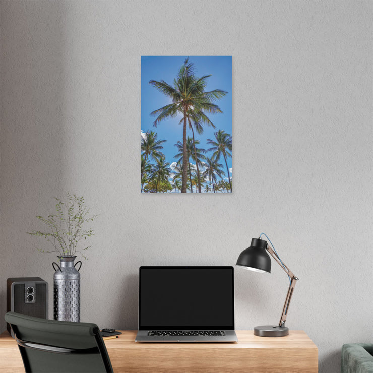 Palm Trees - Classic Stretched Canvas-01 - Shore-n-Decor