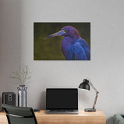 Night Heron - Classic Stretched Canvas-01 - Shore-n-Decor