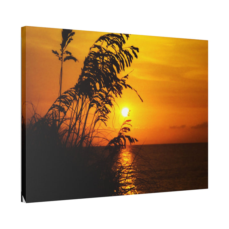 Beach Sunset Sea Oats - Classic Stretched Canvas-01 - Shore-n-Decor